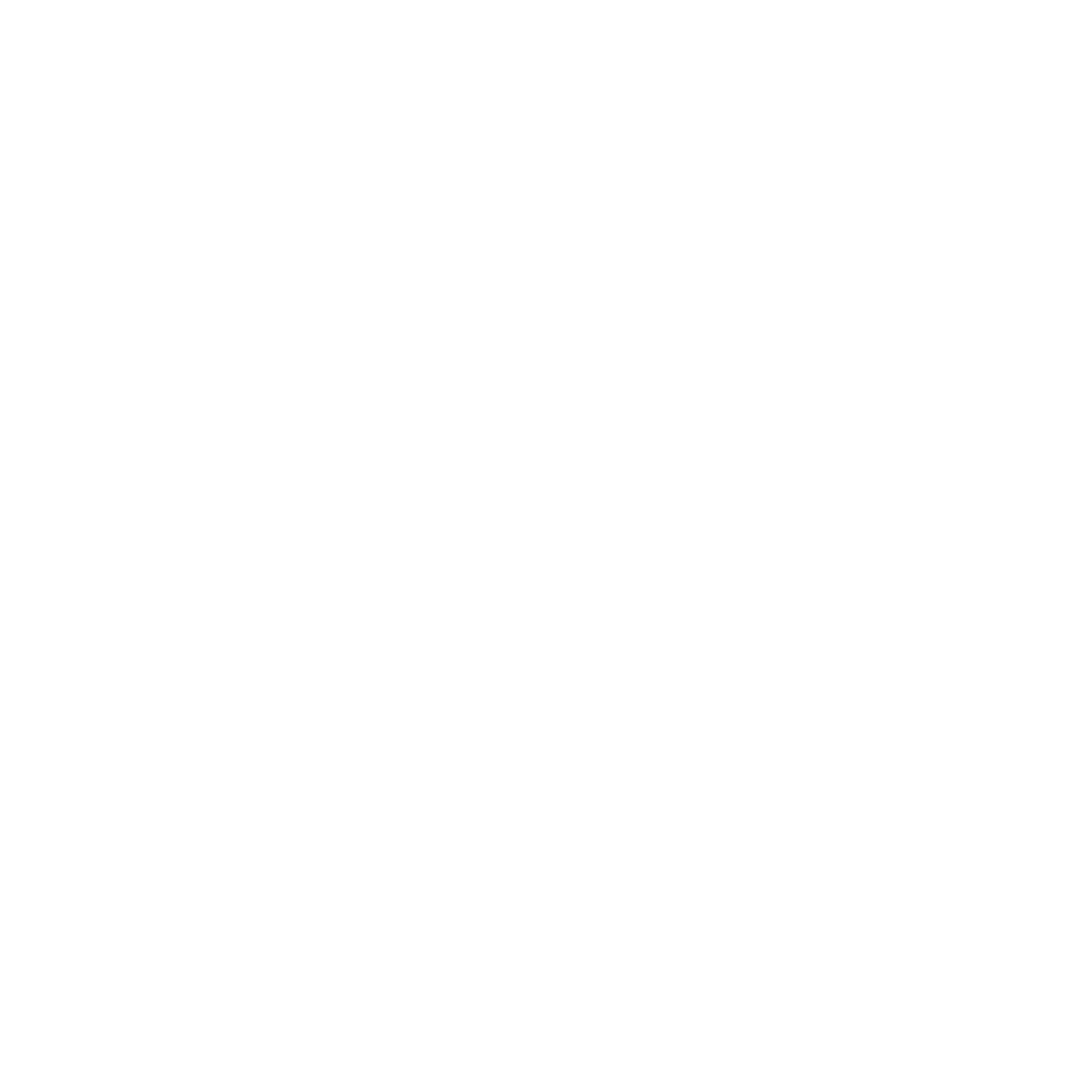 BR Logo_transparent_weiß